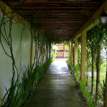 Greenyard Inn Manoc-Manoc Ngoại thất bức ảnh