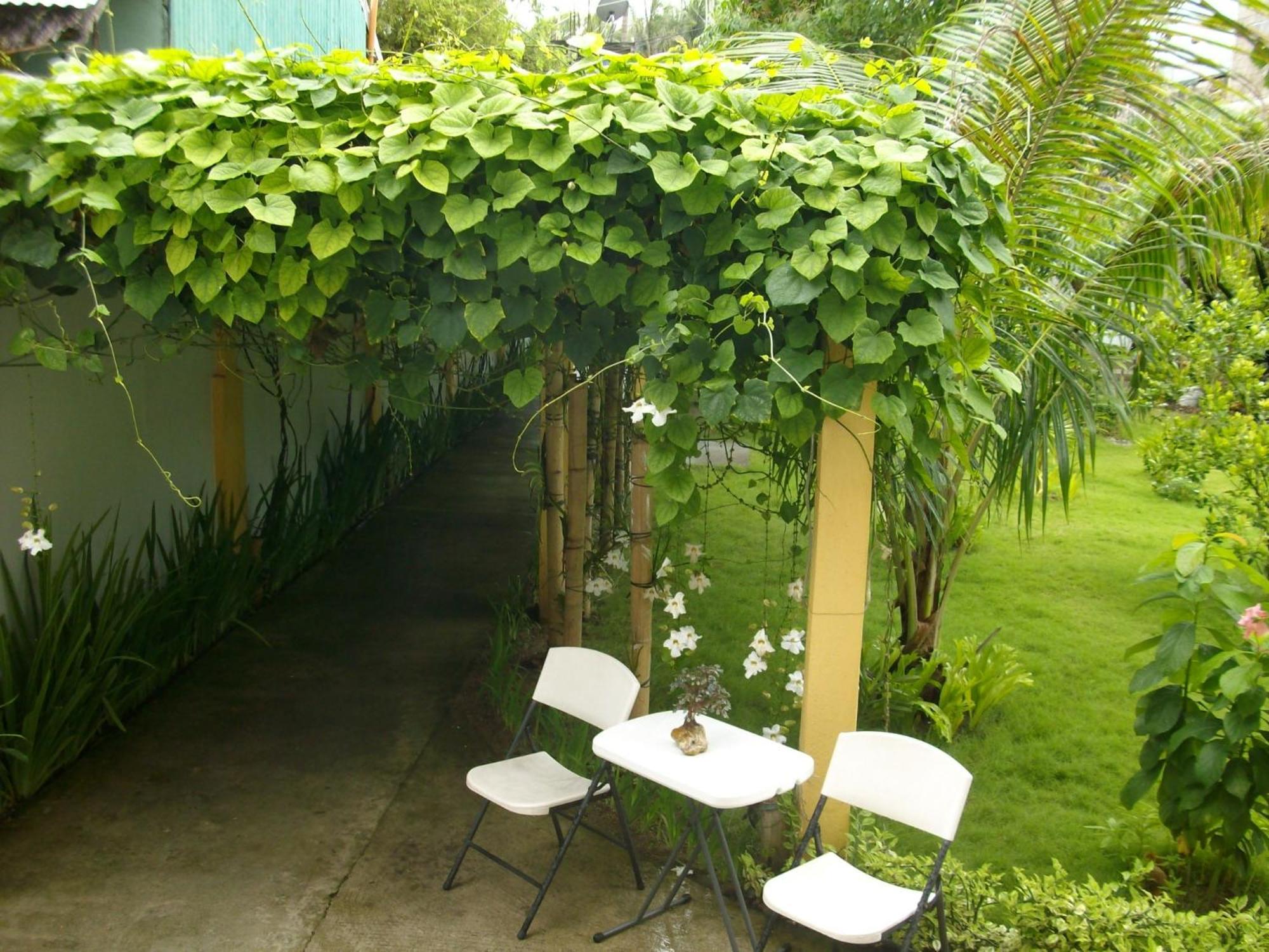 Greenyard Inn Manoc-Manoc Ngoại thất bức ảnh